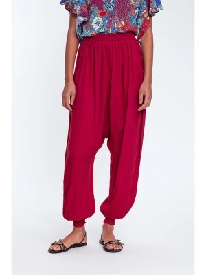 Zdjęcie produktu Makani Spodnie w kolorze bordowym rozmiar: 34/36
