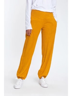 Zdjęcie produktu Makani Spodnie w kolorze żółtym rozmiar: 36