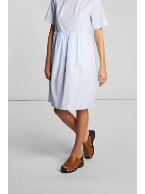 Zdjęcie produktu Rich & Royal Sukienka w kolorze błękitno-białym rozmiar: 40