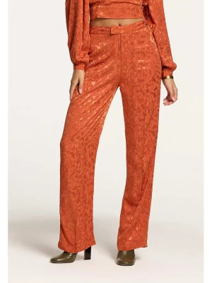 Zdjęcie produktu SHIWI Spodnie w kolorze pomarańczowym rozmiar: M