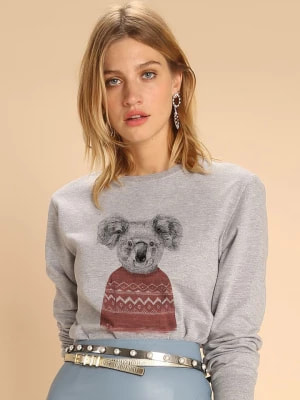 Zdjęcie produktu WOOOP Bluza "Winter Koala" w kolorze szarym rozmiar: S