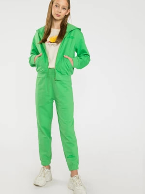 Zdjęcie produktu Zielone spodnie dresowe